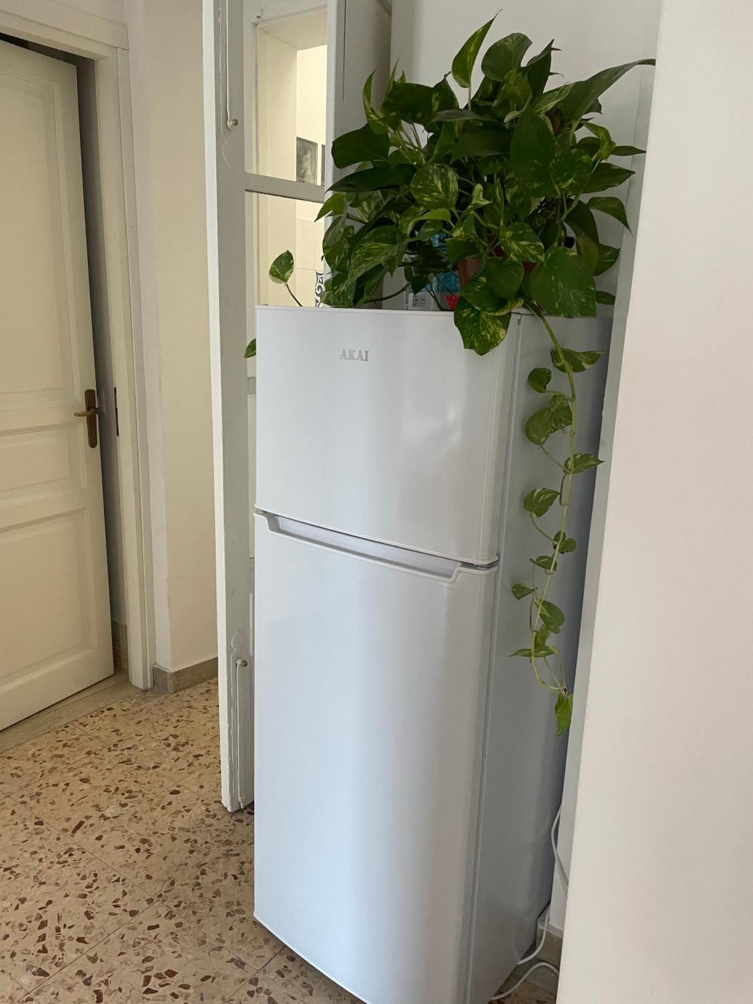 Lorenzo'S House Catania City Centre - Comfortable Large Apartment With 2 Bedrooms And 2 Baths, Close To Trains, Metro And Bus Station Exterior foto